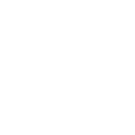 Wireless Services